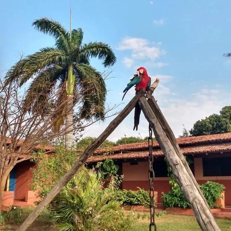 Pousada Estacao Lunar - Terra Ronca Sao Domingos de Goias Exteriér fotografie